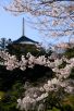 成田山公園（写真：椎名修）